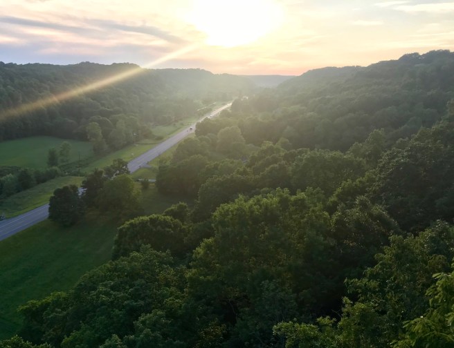 DE344F7C-5D26-4B17-B8CA-FD9C9F6896CC