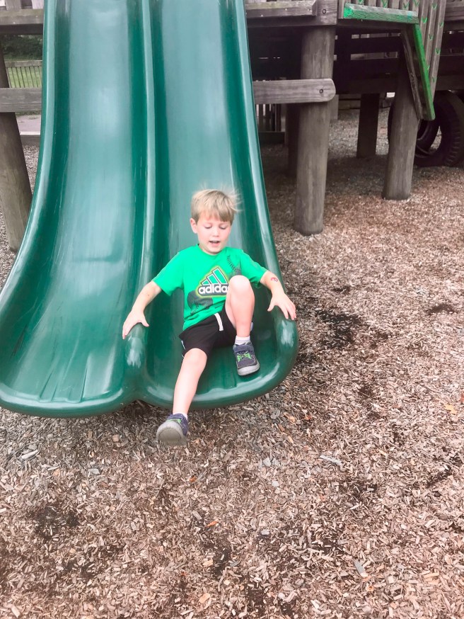 lnd_a7801937-ca5d-4094-a8fe-20ad2812e1d8